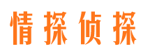 滨海市私家侦探